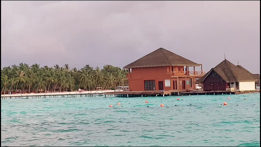 @Sapna Taparia