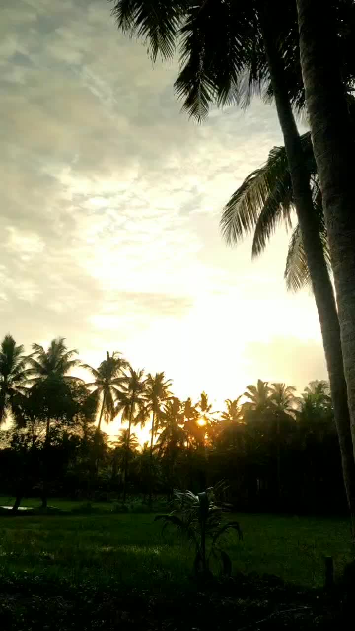 @suresh b