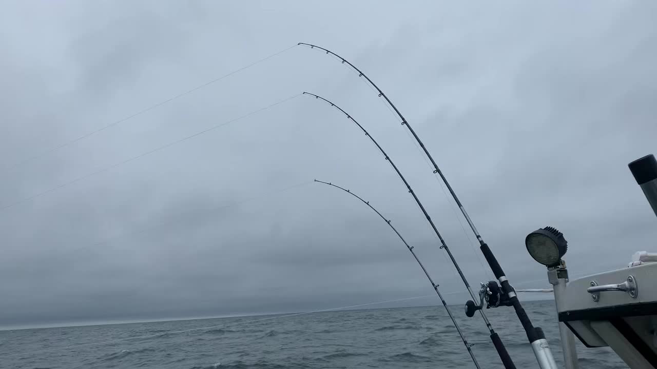 @sportytoofishingcharters