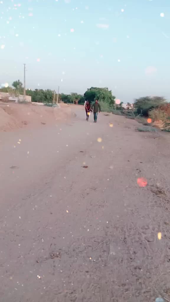 @Ruturaj Sinh Vaghela