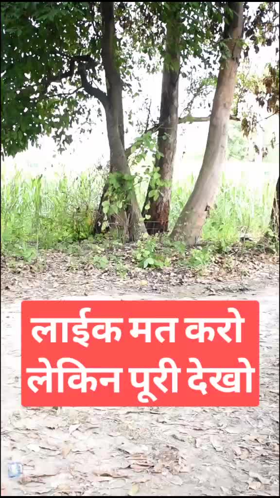 @shivam tufani 390