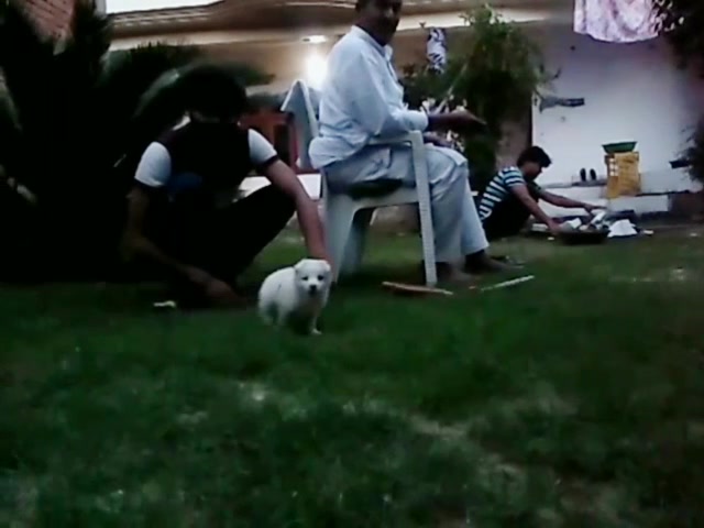 @___mr.jerry_ly
