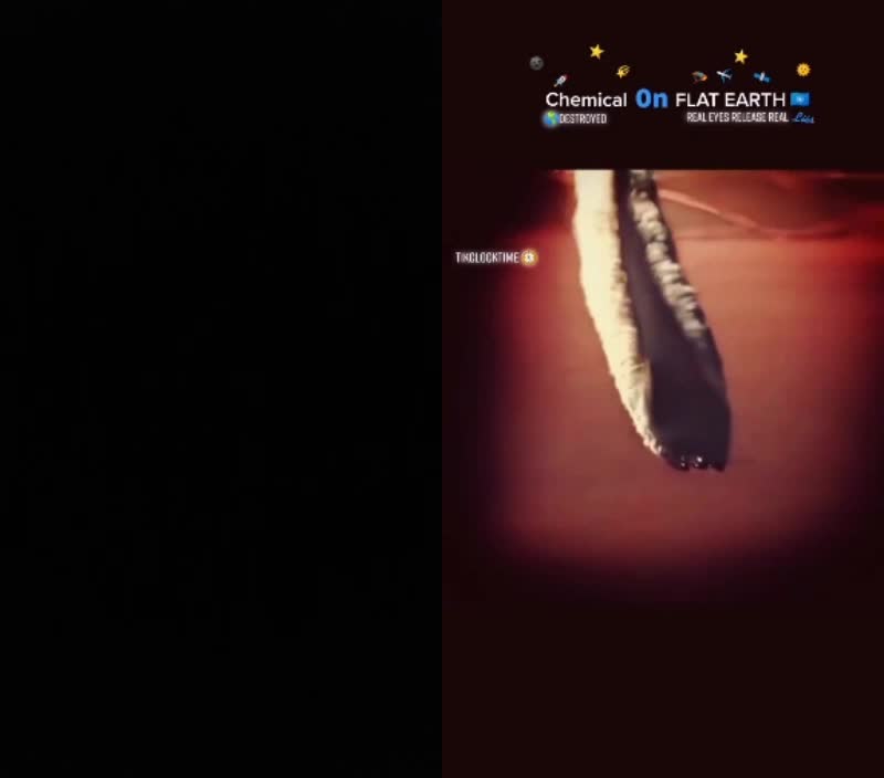 @user6094463737168