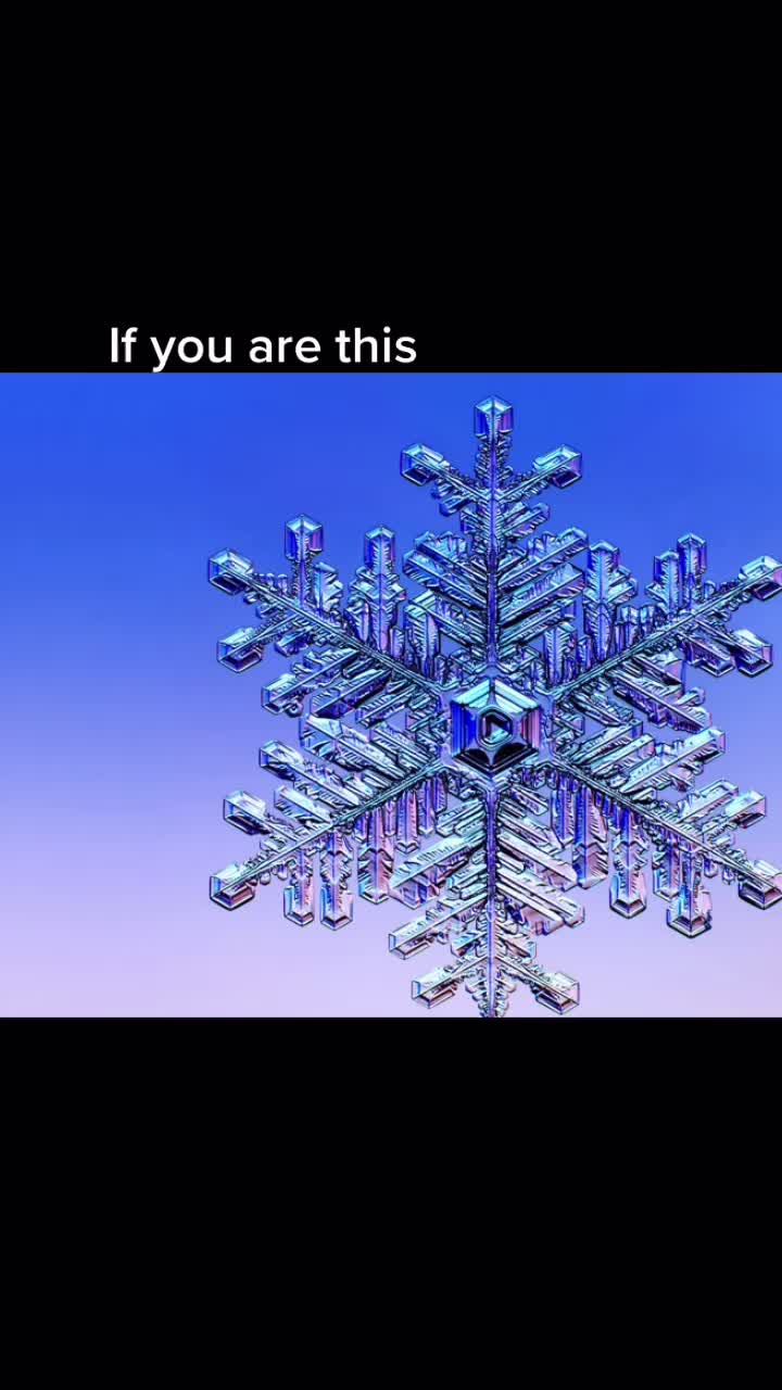 @Memes.lol
