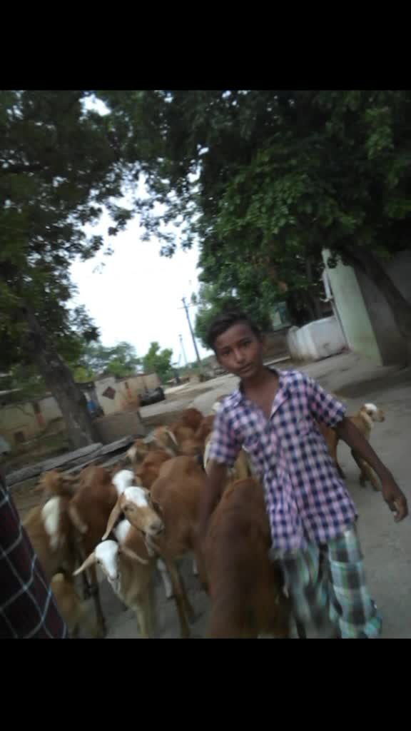 @Mahesh Gundaboina