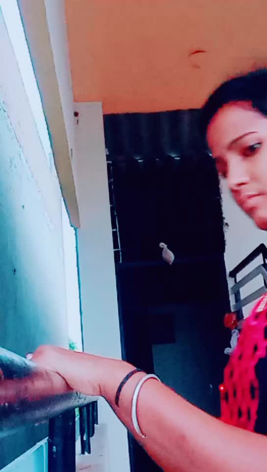 @sreenivasdas3149