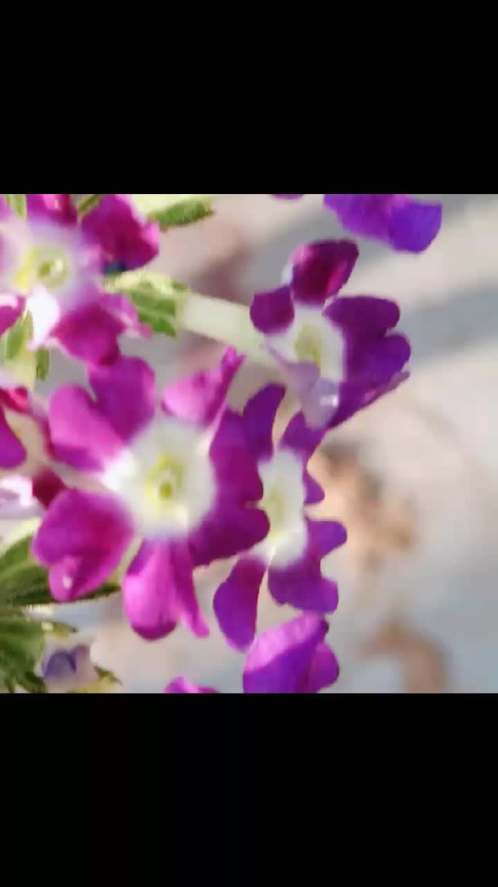 @๐๐cherry yadav ๐?