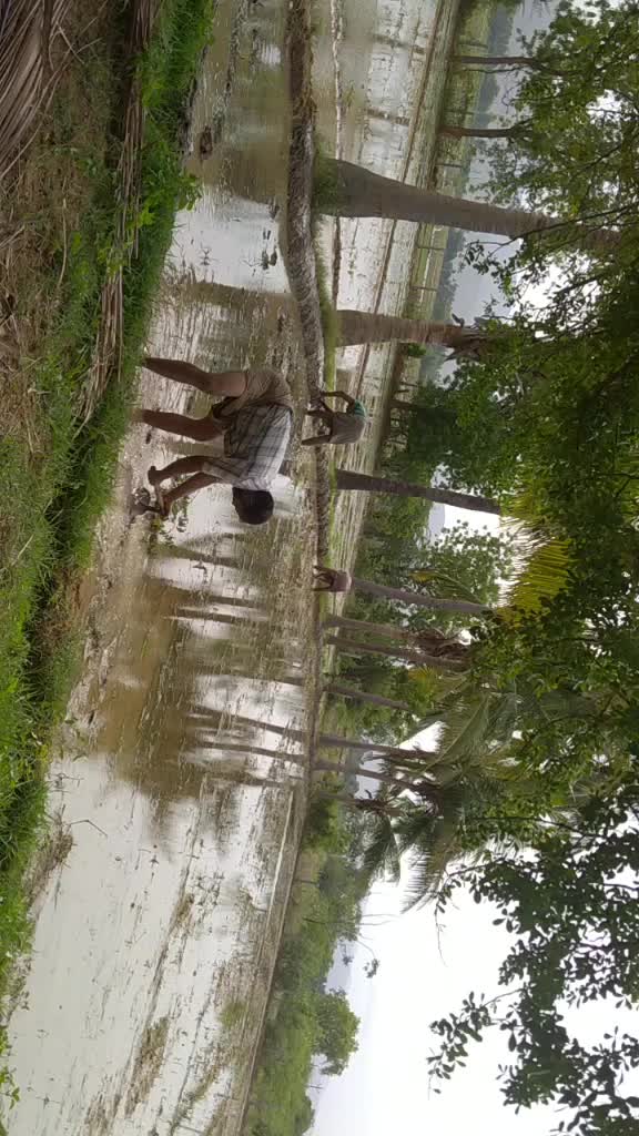 @T.Murali Krishn