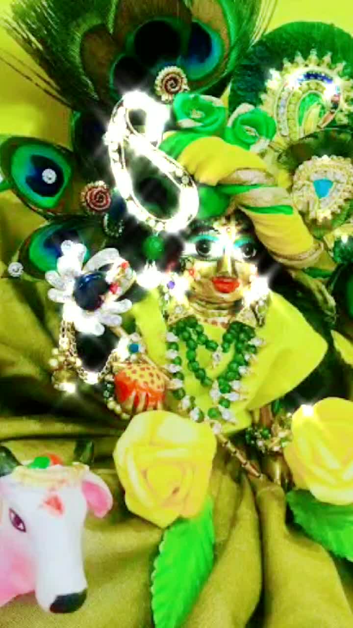 @user950867969053
