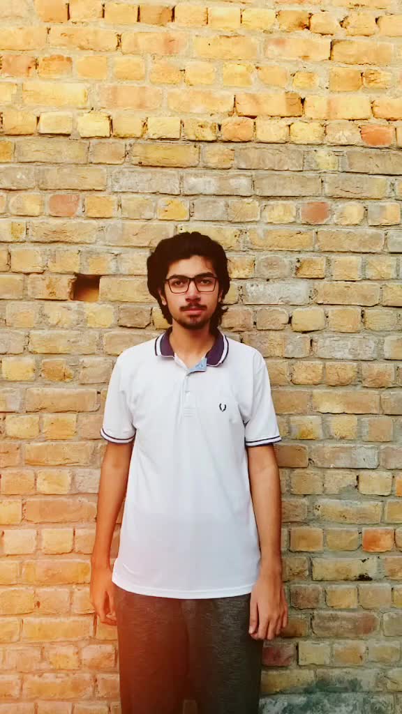 @Moeez Hassan