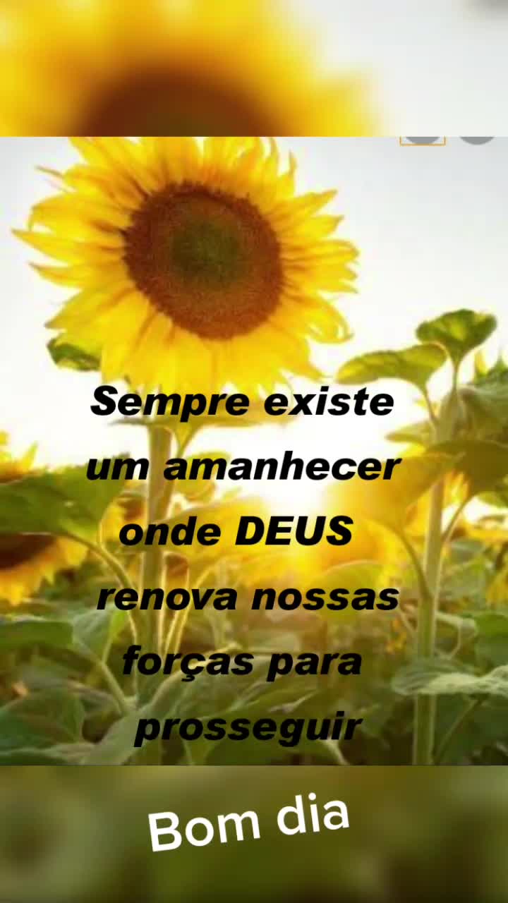 @edglenobre