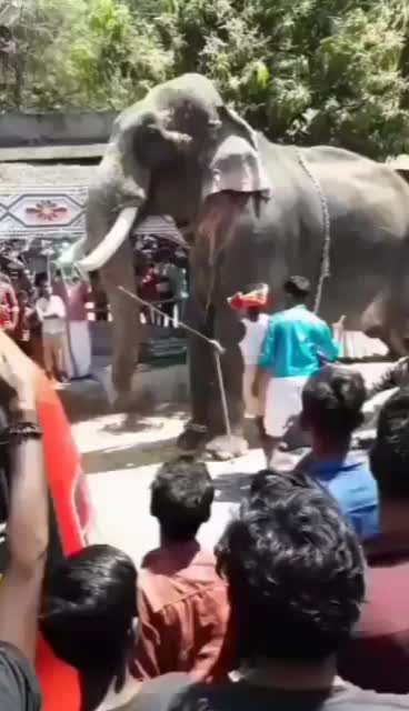 @vishnu_kavil