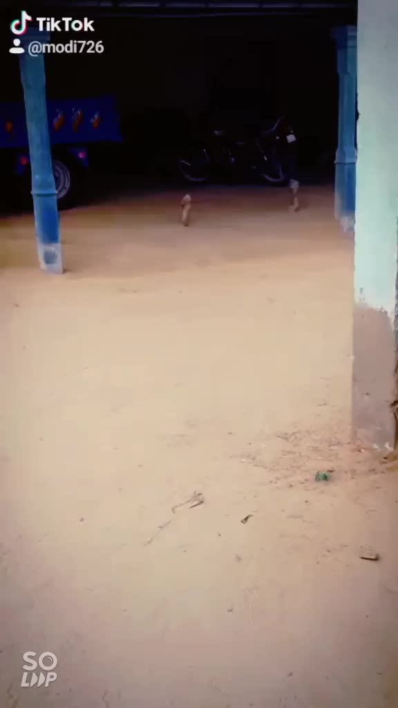 @જય અર્બુદા