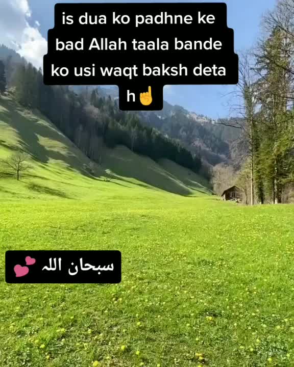 @tayyaba💕