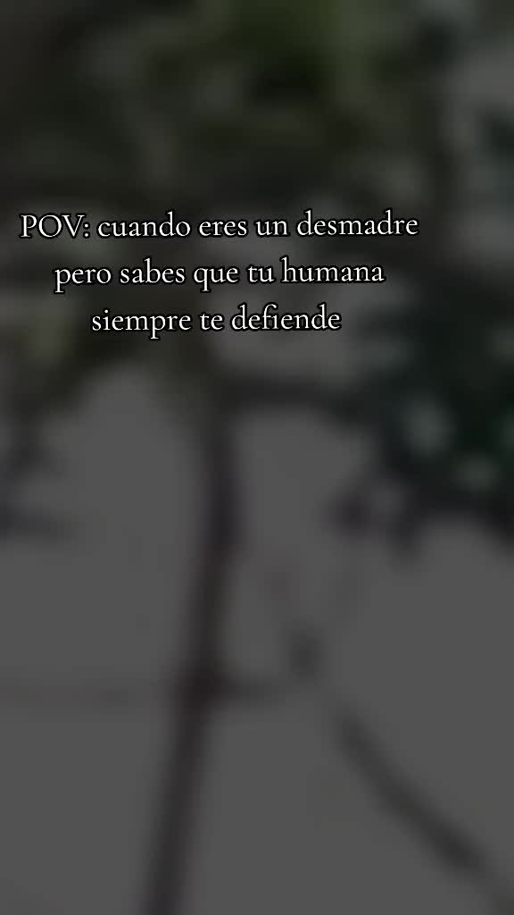 @✨