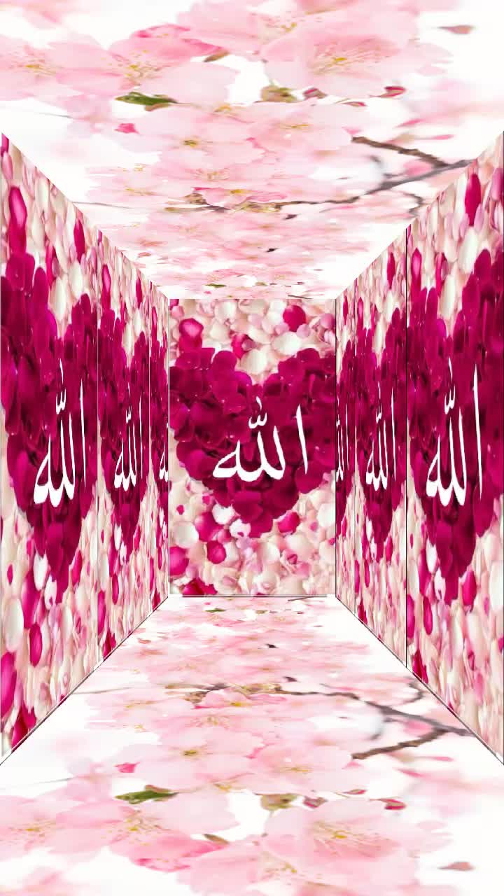 @Mehnaz Fatima