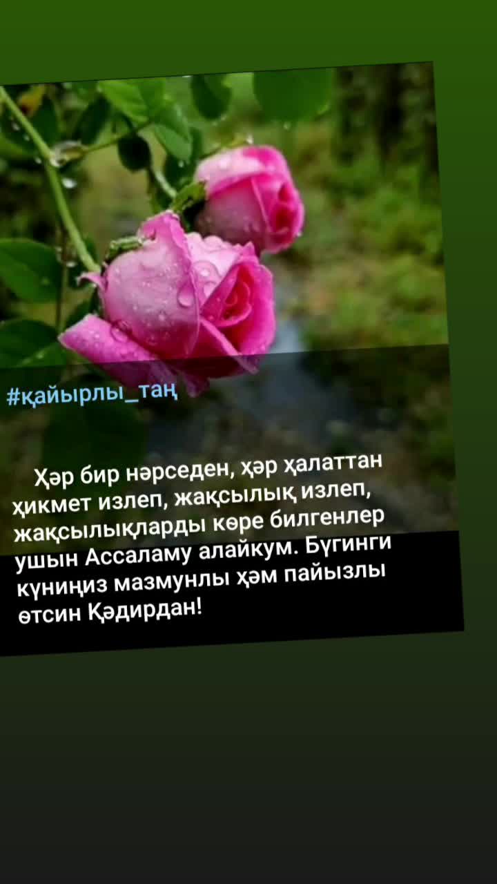 @Гульчи Казбекова