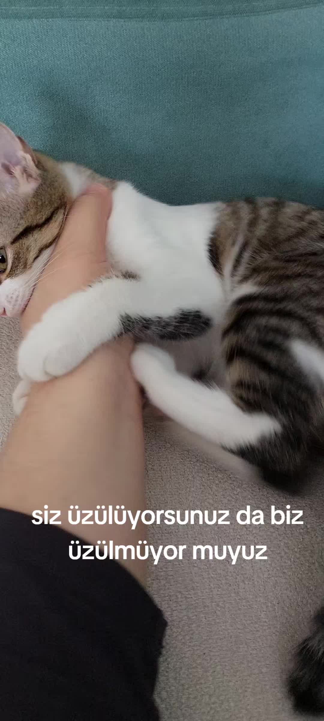 @Aslı⁷