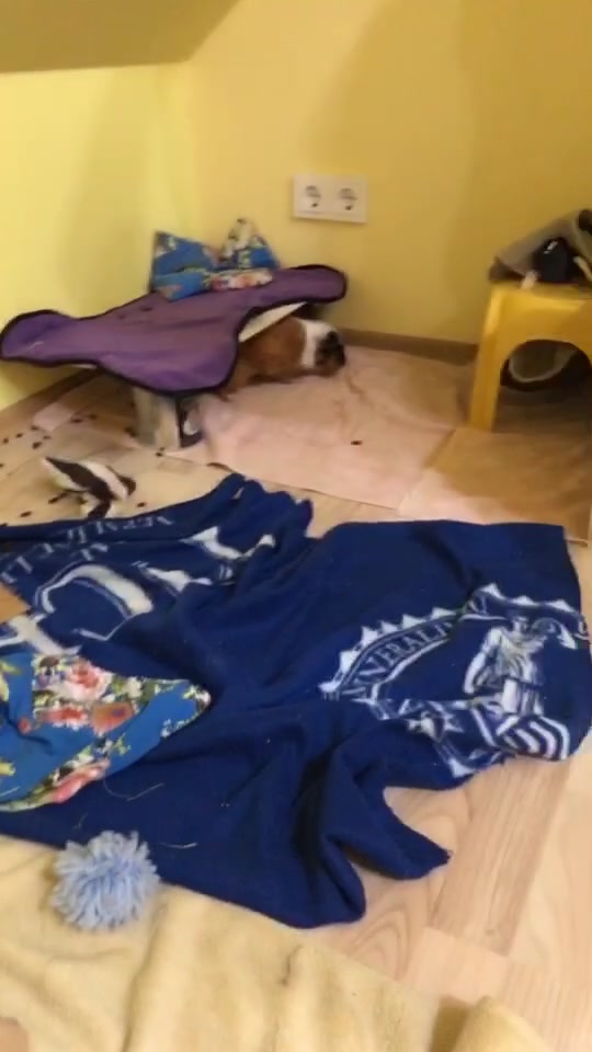 @💜Couple goals💜