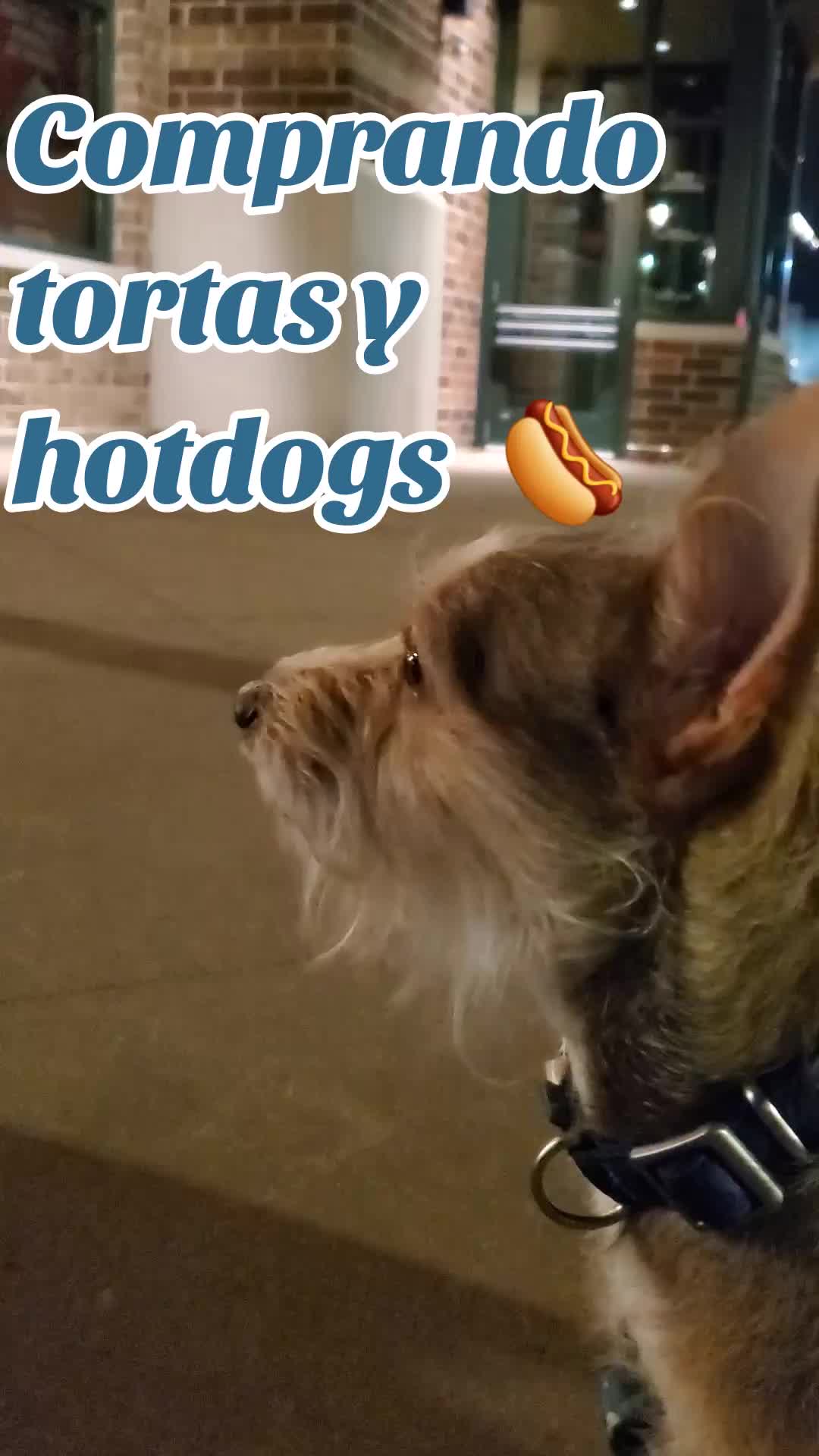@Rufus007