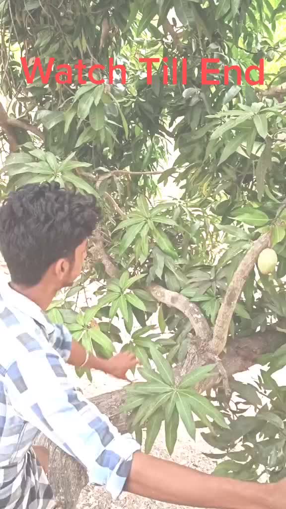 @Rajesh R