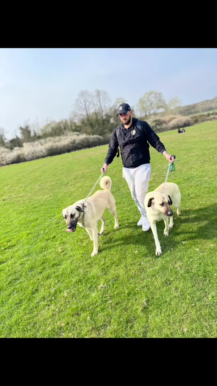 @essexkangals