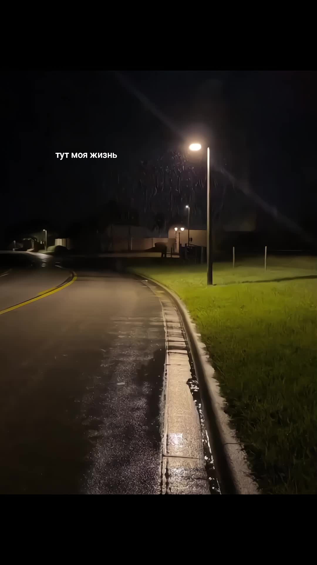 @ds
