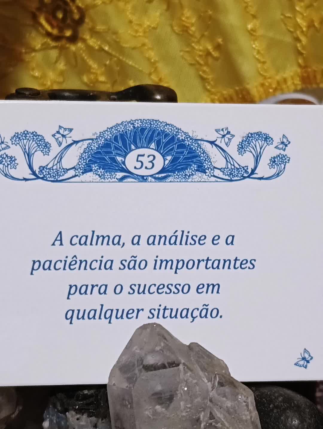@CoisasdeBruxa479 7 0 1 3 1 6 2