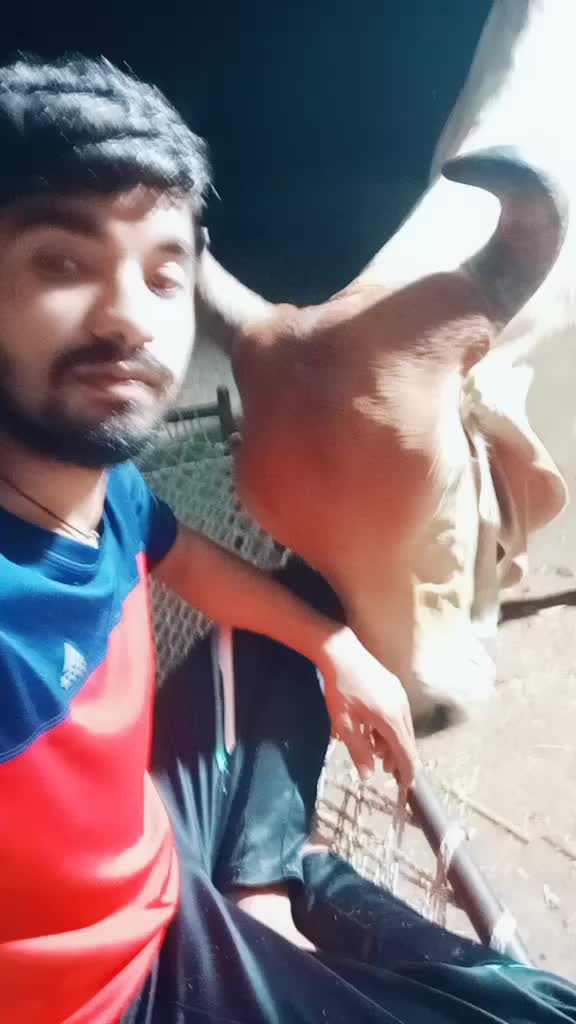 @Mojilo.MalDhari