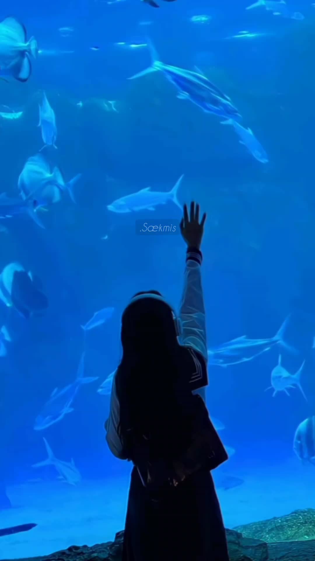 @.S&aelig;kmᵻS