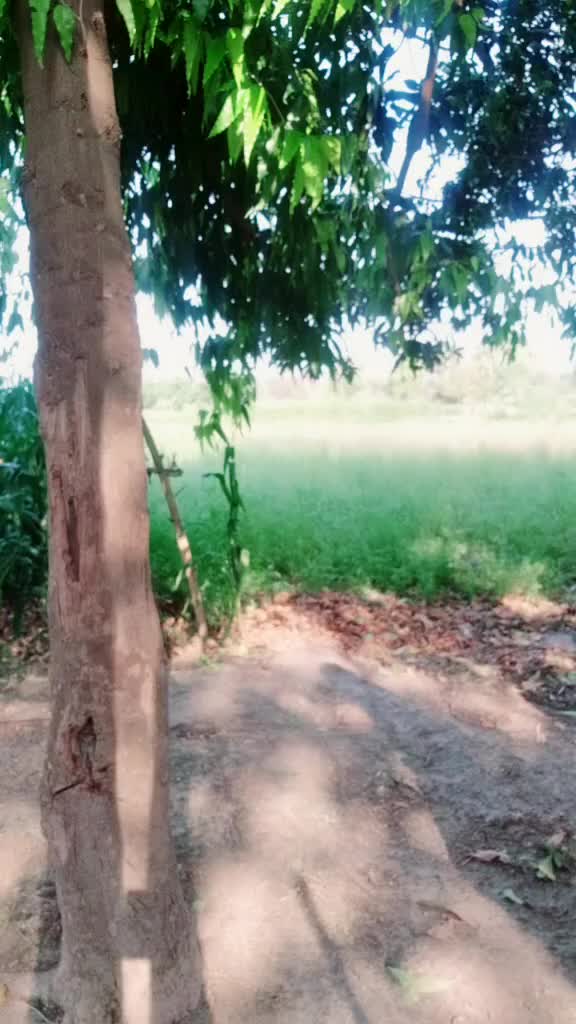 @Prashant Shukla
