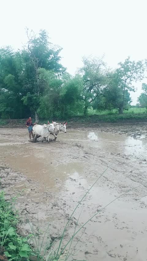 @Nikesh Yadav