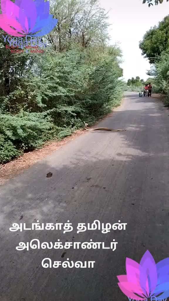@நான் திமிரு புடிச்ச
