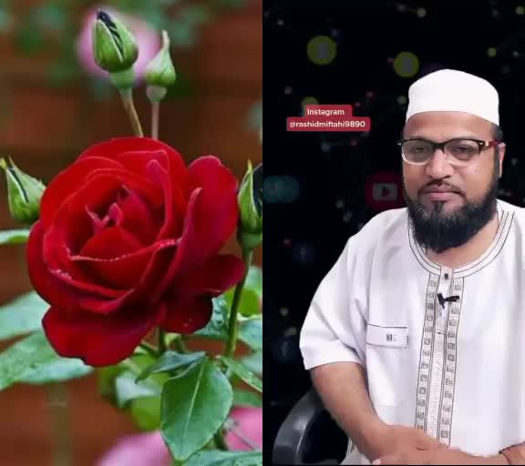 @🌹Farha🌹