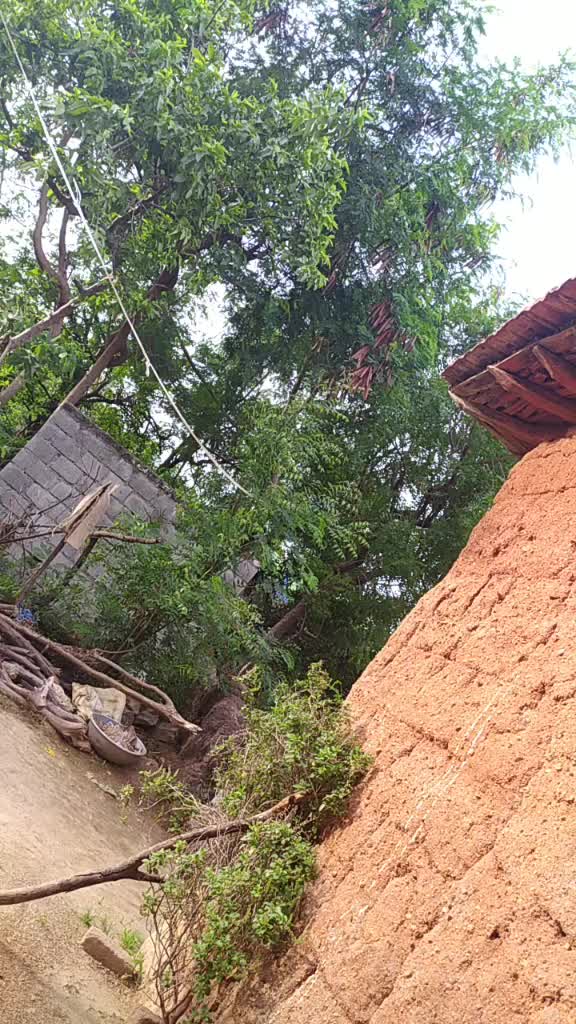 @RowdY_RaJ_19