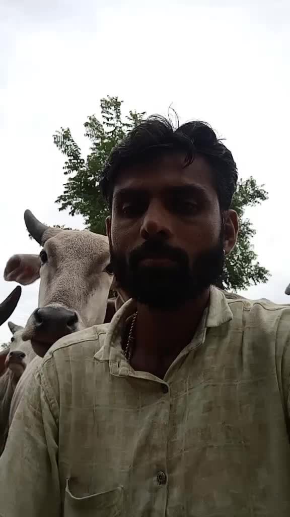 @Ravliya Dinesh