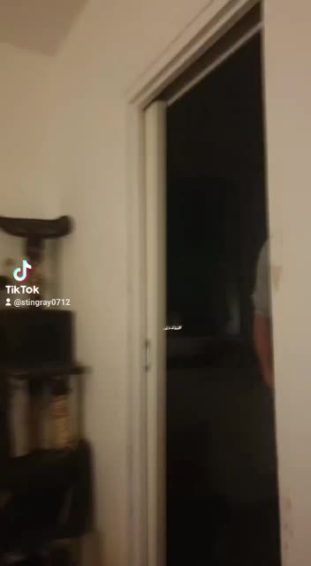 @Robert