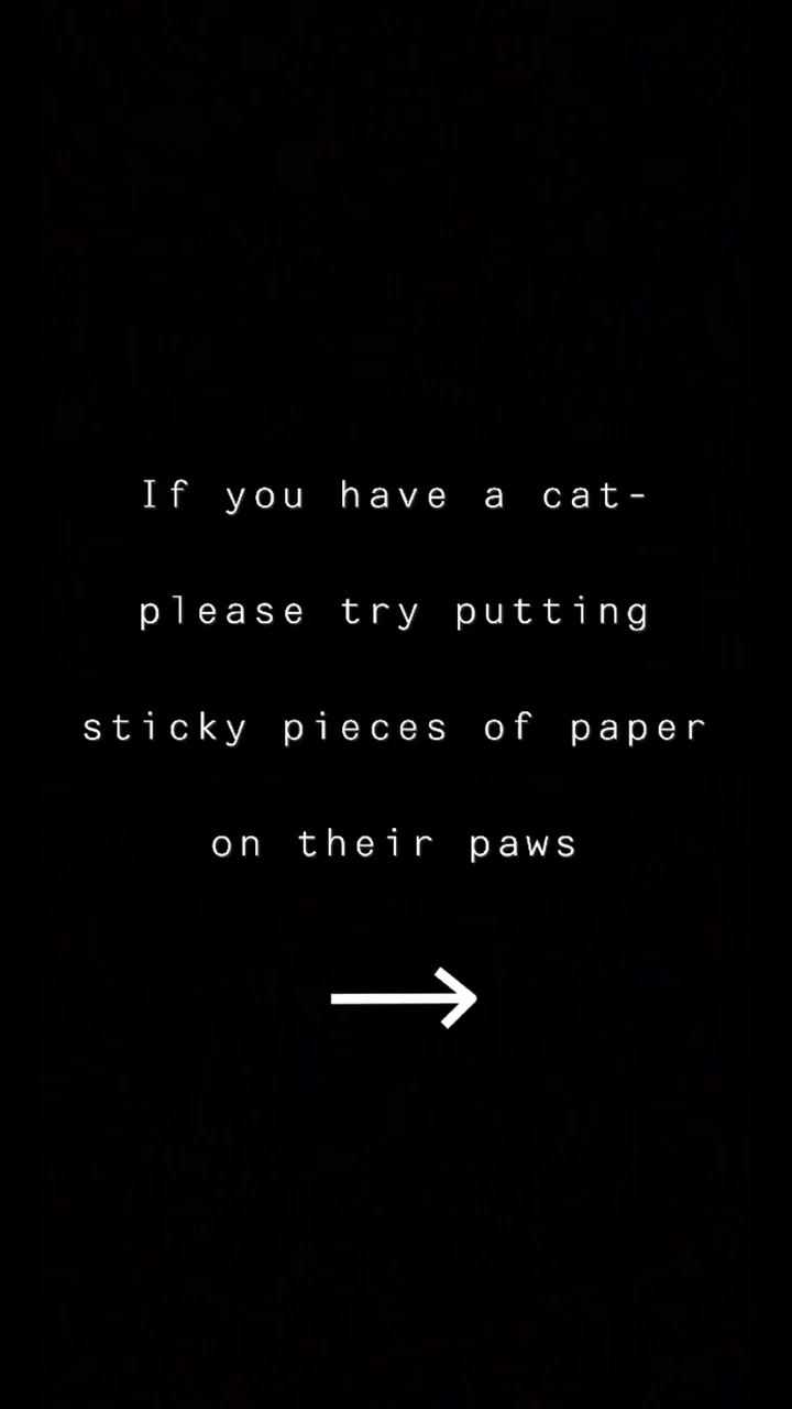 @Chelsea Murphy