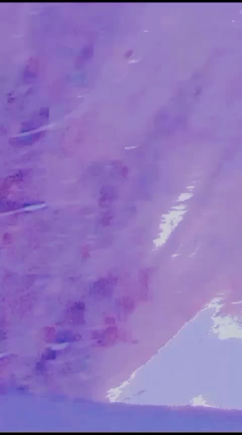 @امنہ بھی ❤️🅱️❤️ امنہ بی ❤️🅱️