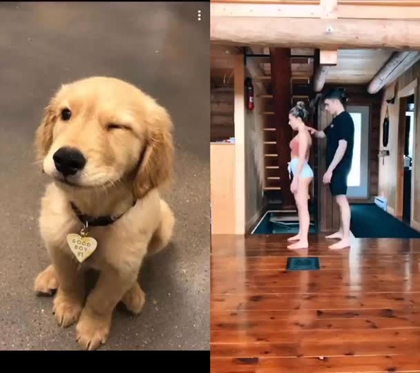 @jesuisunchienlol