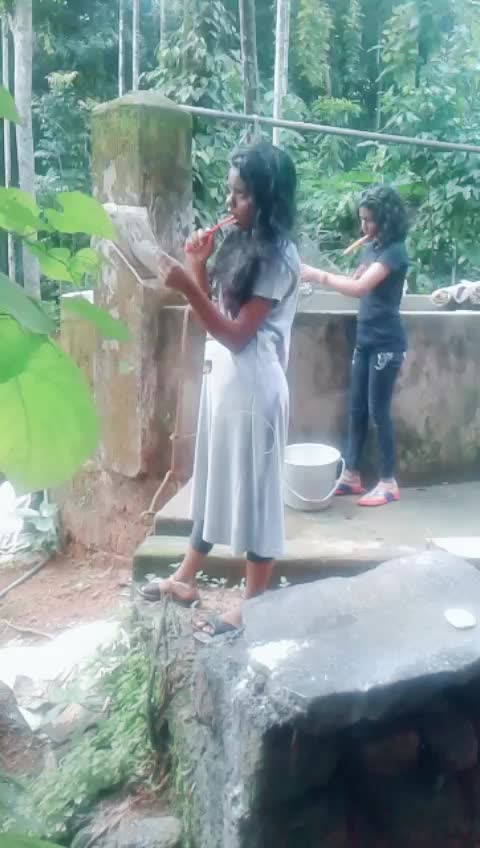 @നീലക്കുറിഞ്ഞി 💙