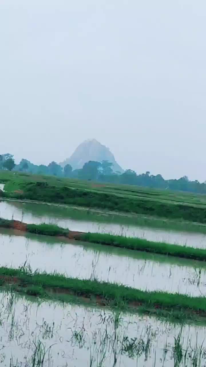 @swarna&bidut22344