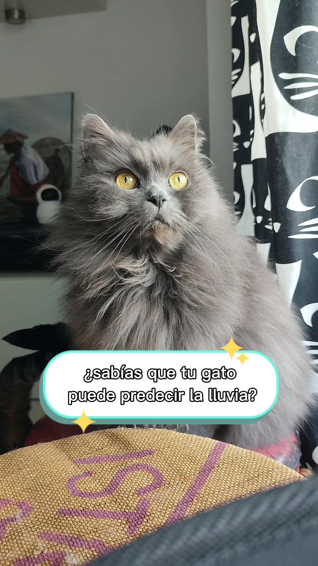 @Cooper, Arya, Aru y Sully 🐾