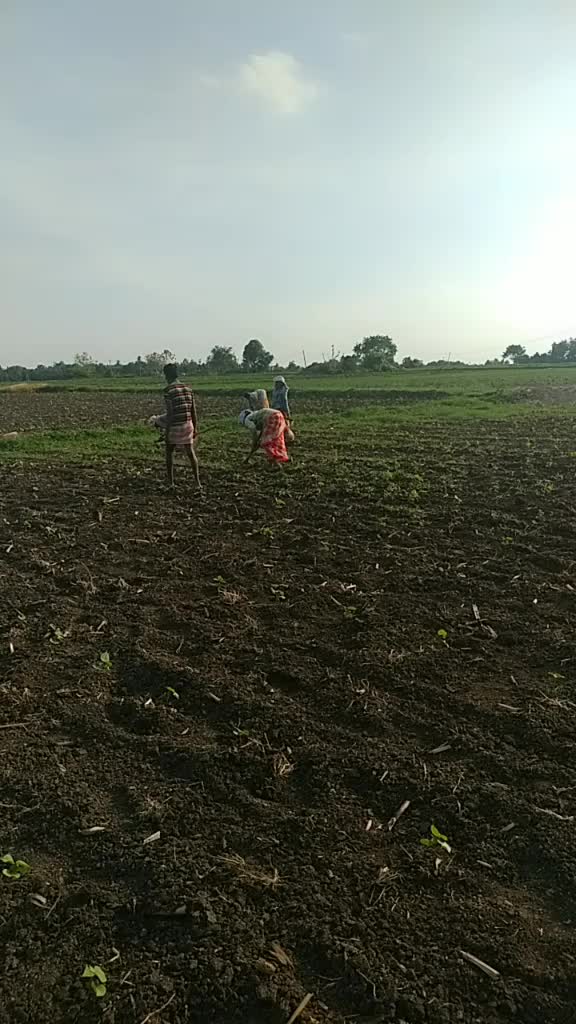@bandi.harish
