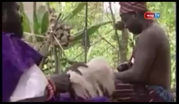 @Abolga