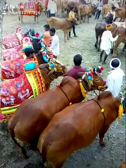 @भागवत आढाव