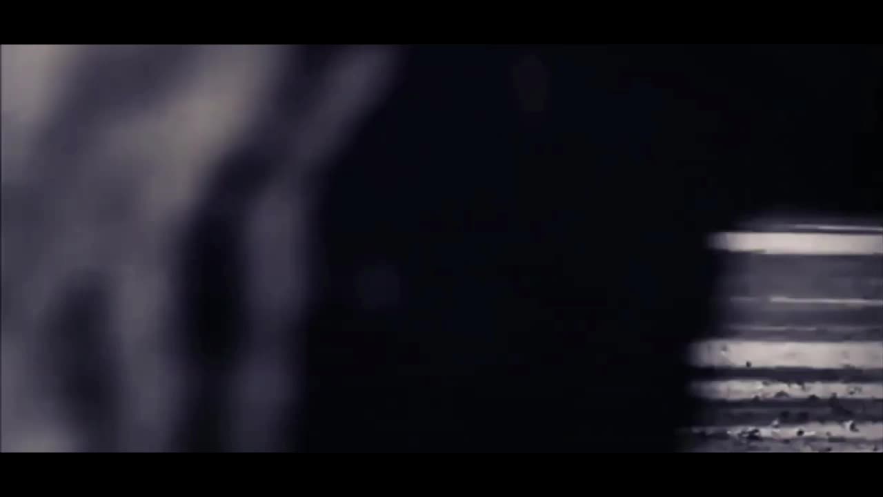 @pferdeedits377373