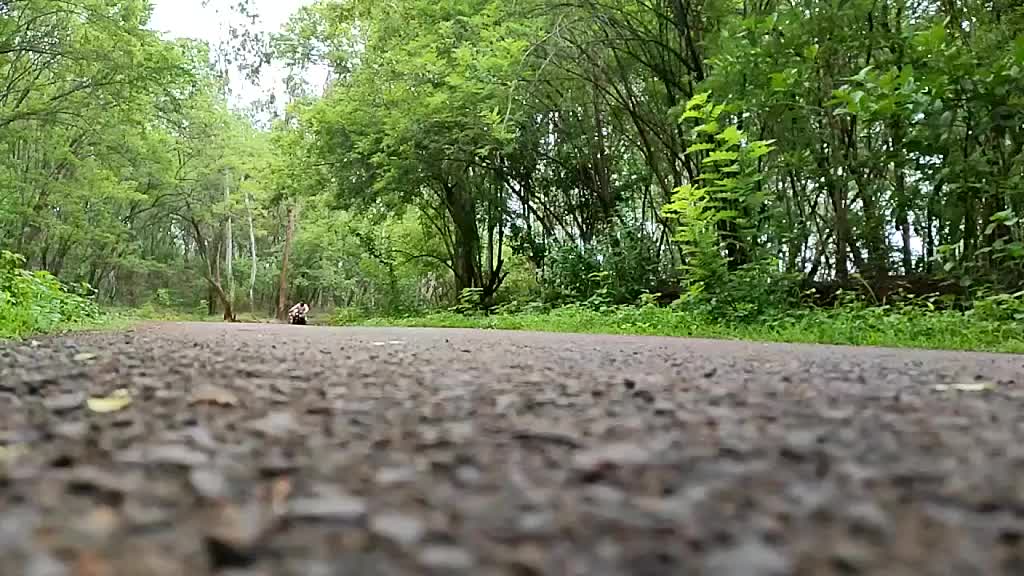 @Rithik kulkarni