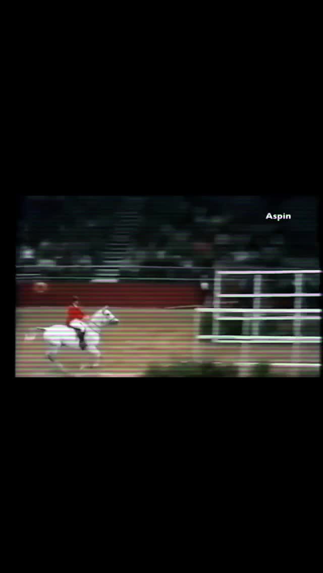 @1k??🦄💙