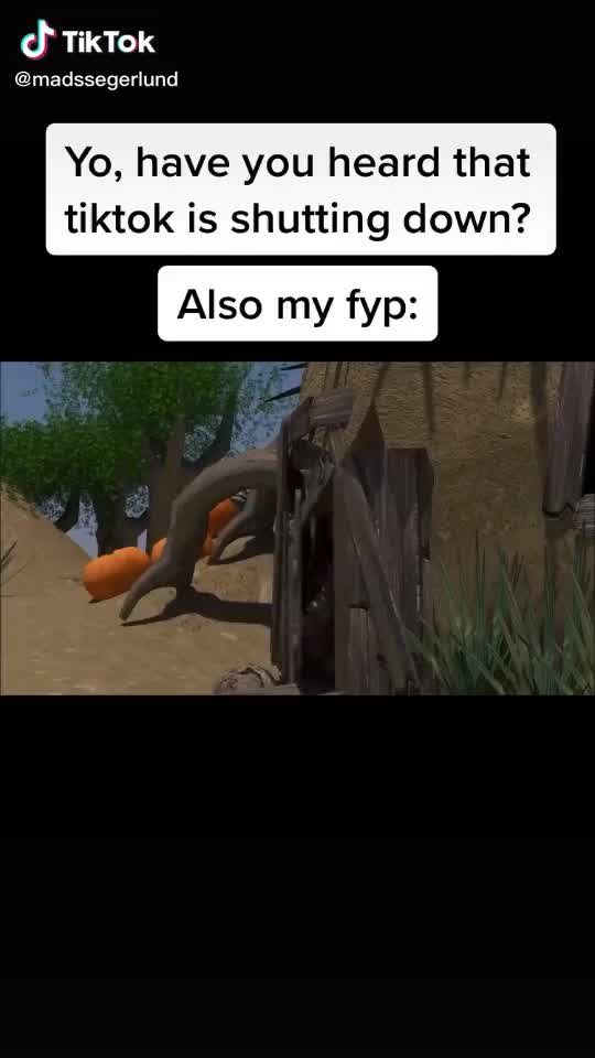 @Snpxzz 2